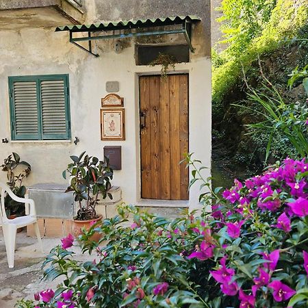 Appartamento Nel Borgo - Casa Del Pellegrino Sulla Via Francigena Aulla Exterior foto